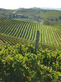 Xtrallusion offers characteristic Bed and Breakfast, B&B, Guest House, Hotel, Albergo and Country Lodge accommodation in Italy. Plus independent self-guided Walking, Adventure, Activity, Skiing and Paragliding Holiday itineraries on the Italian Rivieras, in the Italian Lakes, in the Italian Alps and in some of the most beautiful corners of Italy.